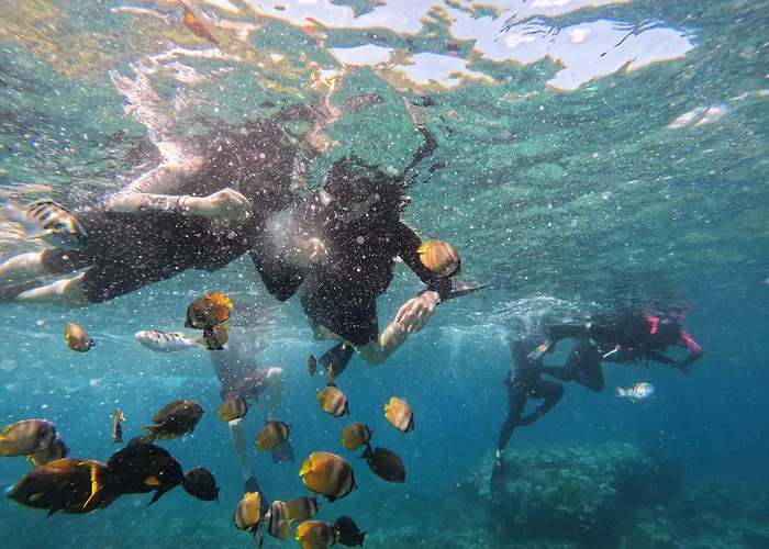 Parque de vacaciones Penida Bambu